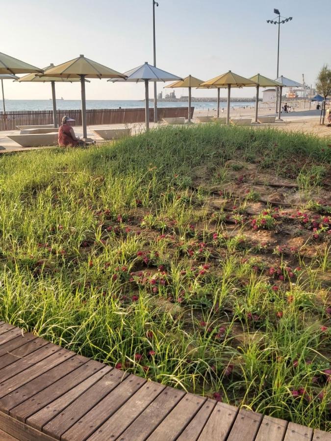 Studio By The Sea Ashdod Eksteriør billede